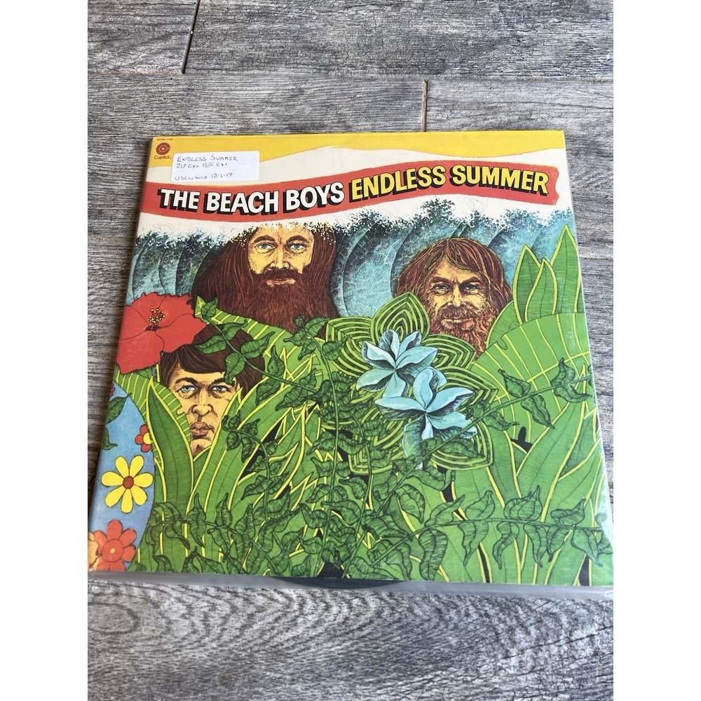 The Beach Boys‎ Endless Summer SVBB-11307 1974 Brian Wilson Vinyl Record 2LP